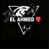 Telegram profile photo for EL ALMED ๐ฐ๐ผ