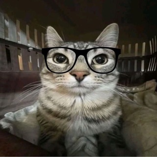 Telegram profile photo for kateeeter_english