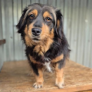 Telegram profile photo for ТЫ ТОЛЬКО ЖИВИ