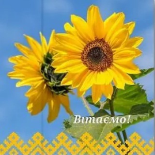 Telegram profile photo for Українська Листівка🐱