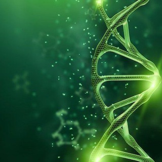 Telegram profile photo for PORLOQ BIOLOGIYA ( Toshboyev Ermat)👍
