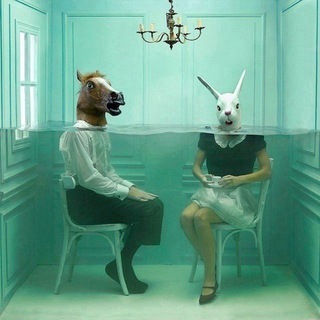 Telegram profile photo for Записки сумасшедших 🤪