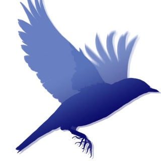 Telegram profile photo for Издательство «Империя Илин»