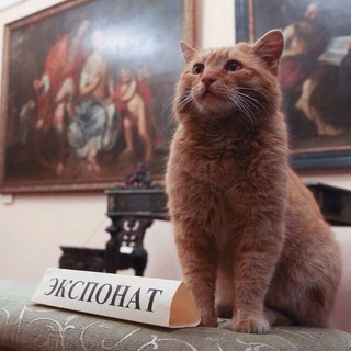 Telegram profile photo for Включённое смотрение