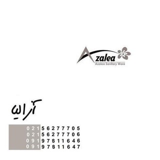 Telegram profile photo for Azalea