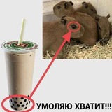 Telegram profile photo for синагога имени Зеленского