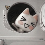 Telegram profile photo for домик моге