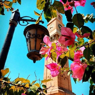 Telegram profile photo for الأروَاح جُنودٌ مُجنّدة.