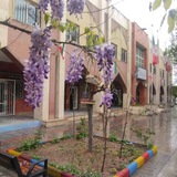 Telegram profile photo for سرای محله حشمتیه
