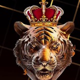 Telegram profile photo for Corporação Coroa⚜️⚜️⚜️