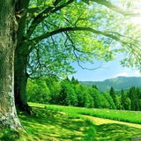 Telegram profile photo for دروب السعاده 💚