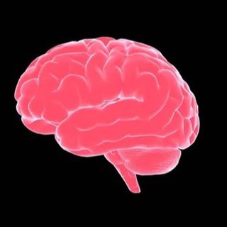 Telegram profile photo for 🧠📰 BitYields Crypto News