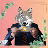 Telegram profile photo for Wolf Academy Trade🐺