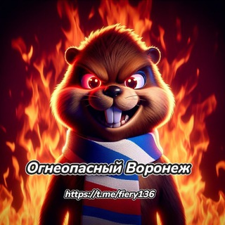 Telegram profile photo for Огнеопасный Воронеж🔥⚽️