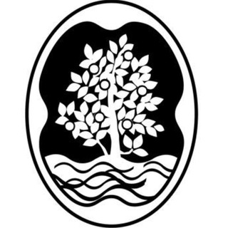 Telegram profile photo for Canal Arenys de Mar