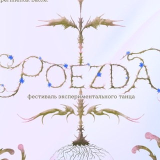 Telegram profile photo for POEZDA FEST
