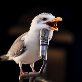 Telegram profile photo for Чайка говорит