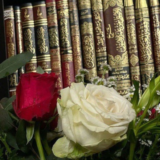 Telegram profile photo for مستࢪاح القلوب 🫀📚