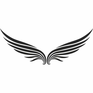 Telegram group profile photo for Пионеры вингфойла. Стас Орлов.