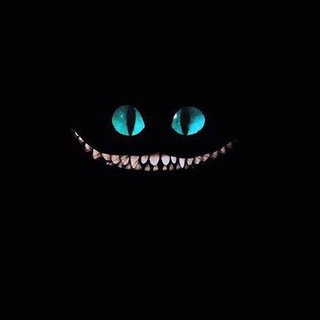 Telegram profile photo for CrazyOpen O Brabo