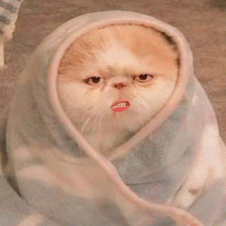 Telegram profile photo for kmbing