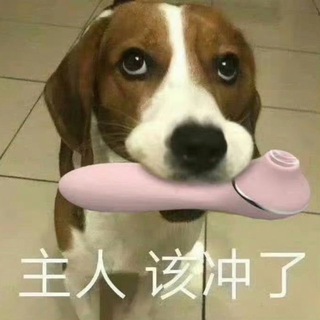 Telegram profile photo for 上海会所学院(SPA、商K)