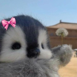 Telegram profile photo for Pangoan