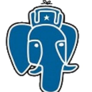 Telegram profile photo for pgsql – PostgreSQL
