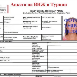 Telegram profile photo for Olga Safarian помощь в оформлении ВНЖ и страхования