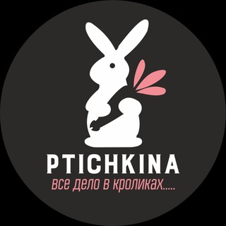 Telegram profile photo for Ptichkina_alisa_larek