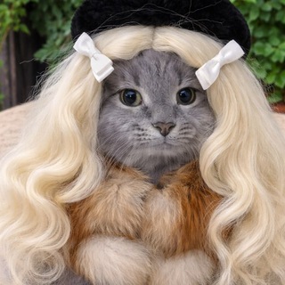 Telegram profile photo for Мерзоги⁴²