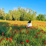 Telegram profile photo for "چهارده شب تا رهایی"🌕