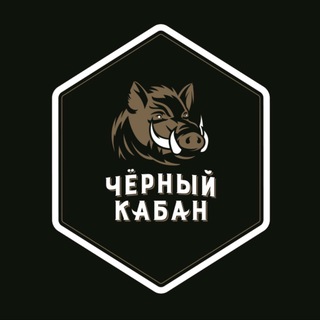 Telegram profile photo for 🐗