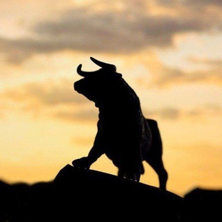 Telegram profile photo for BULLISH VIEW ON STOCKS