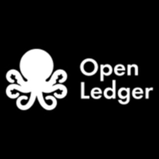 Telegram group profile photo for OpenLedger China