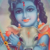 Telegram profile photo for KV ki kalam