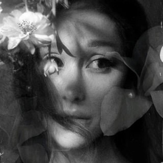 Telegram profile photo for Ariana Charts