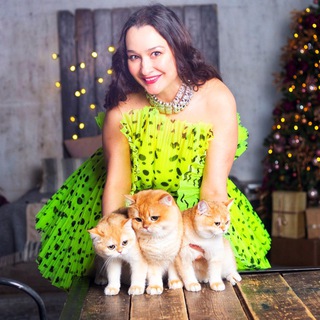 Telegram profile photo for ЛИЛЯ БРИ|ТАНСКИЕ КОТЯТА