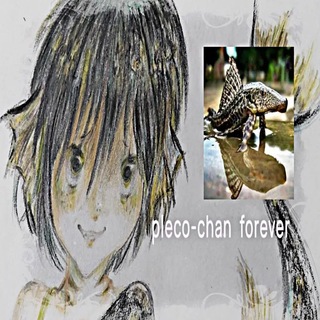 Telegram profile photo for 𓈒𓏸𝗽𝗹e𝗰o 𝗰han confession ᶻ 𝗓 𐰁