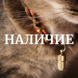 Telegram profile photo for LumIX | наличие