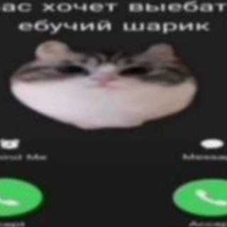 Telegram profile photo for Prosto
