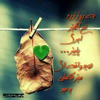 Telegram profile photo for قاب غزل