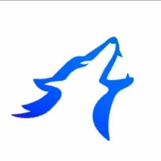 Telegram profile photo for ITTIFOQ