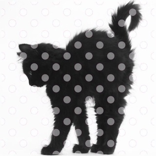 Telegram profile photo for ° ☁️ . ⁀➴ (𝓢.)-wᧉᧉt ꓄estie ˳ ֹ Sachie ৎ 𐬹 p꩜ckᧉt love ! 𓈒 ⠲ 𓂂