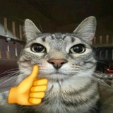 Telegram profile photo for Vovooan
