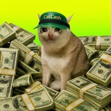 Telegram profile photo for CatCash
