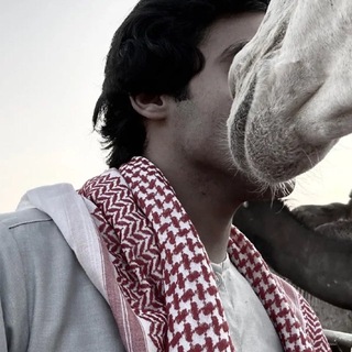 Telegram profile photo for الدوسري
