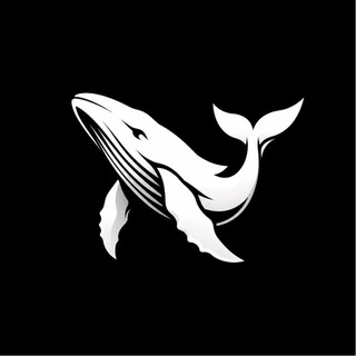 Telegram profile photo for ๐๐๐ ๐
๐๐๐๐ ๐๐๐๐๐