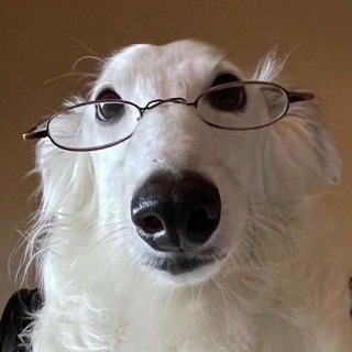 Telegram profile photo for дидро щп