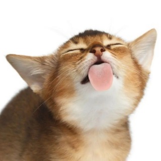 Telegram profile photo for .